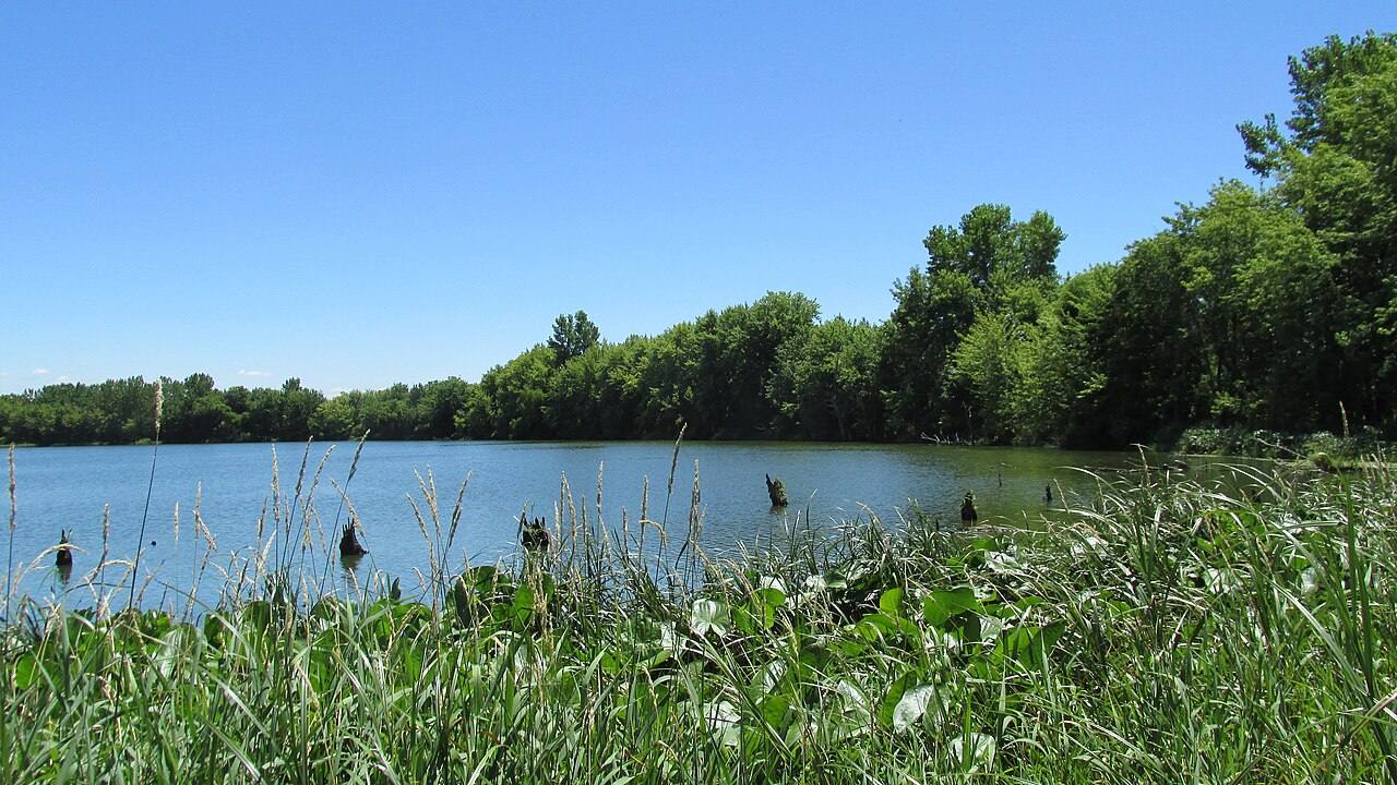 Stage's Pond State Nature Preserve