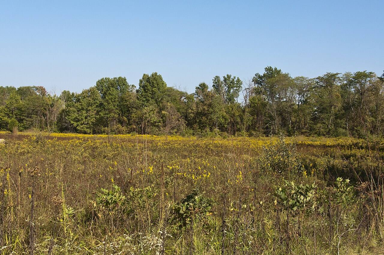 Meadows at Blacklick Woods Metro Park