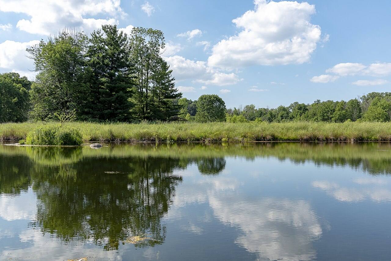 A fishing pond at Chestnut Ridge Metro Park