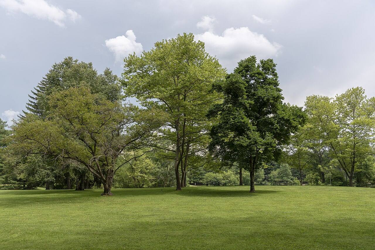 The Confluence Trails area at Three Creeks Metro Park