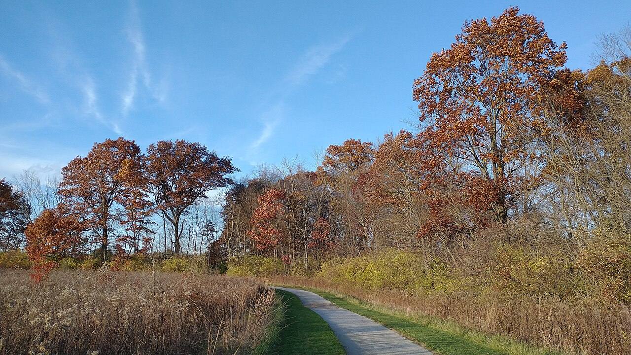 A trail at Scioto Grove Metro Park