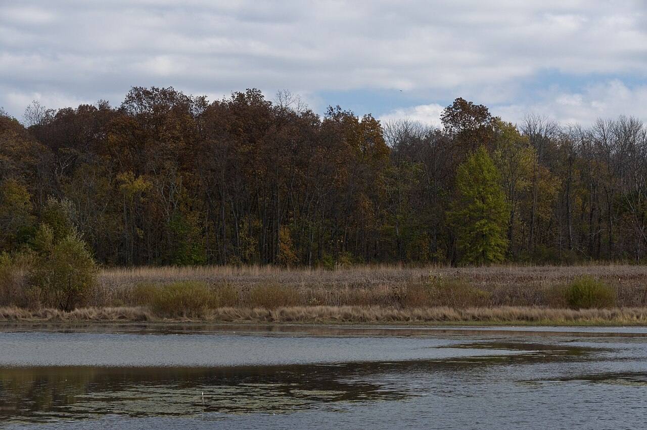 Wetlands at Slate Run Metro Park in the fall