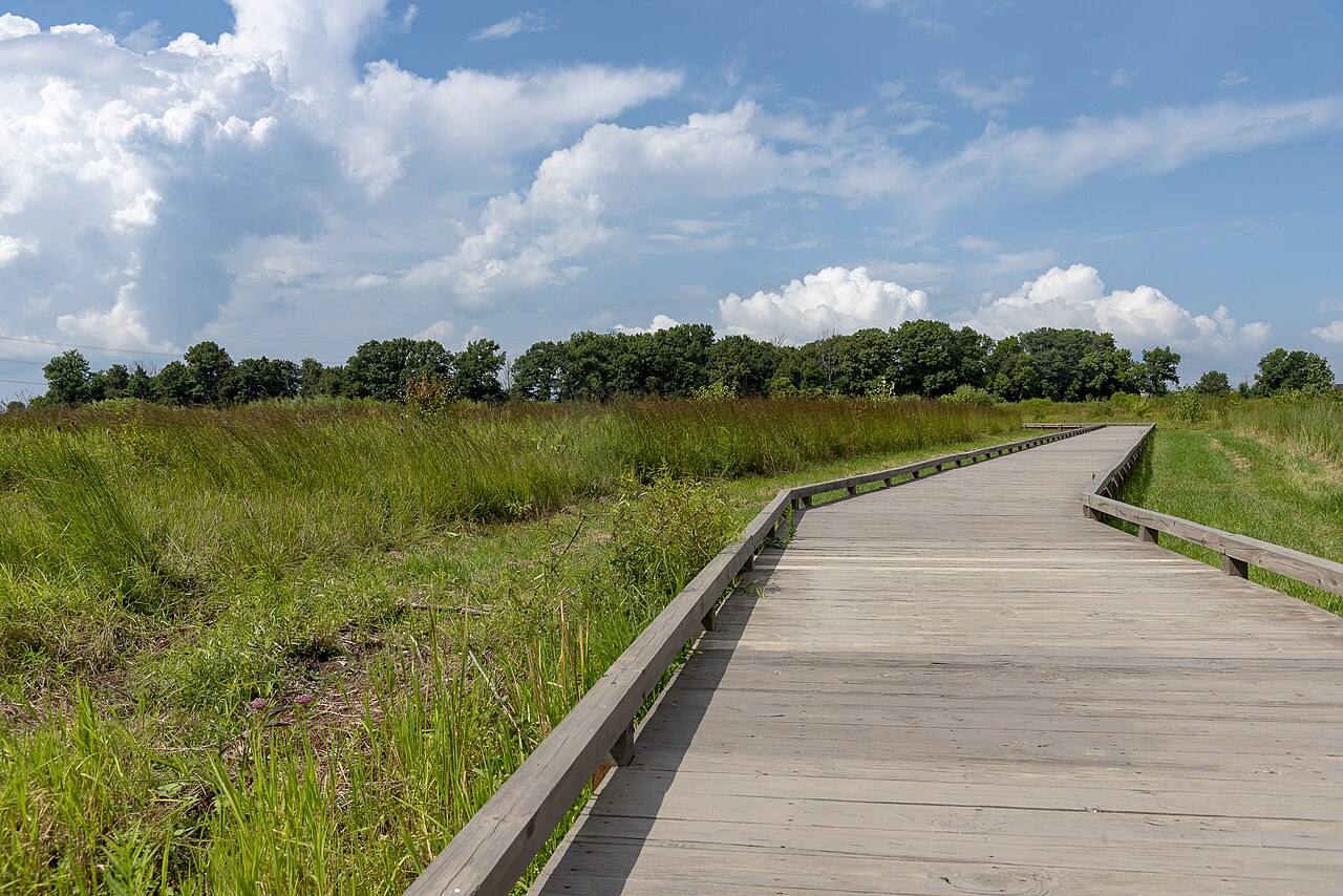 The boardwalk at Glacier Ridge Metro Park